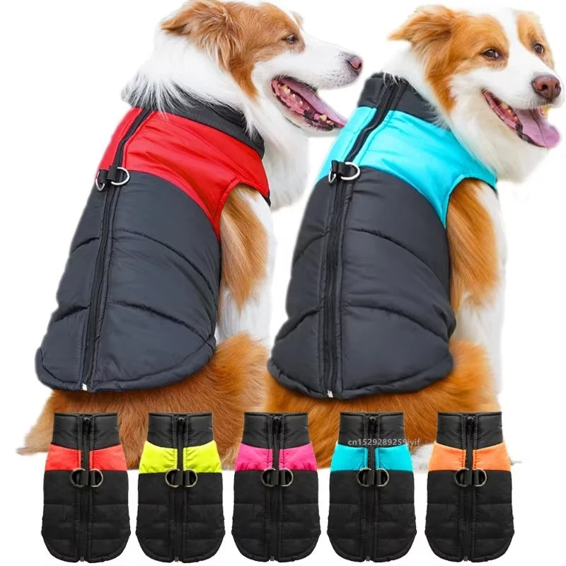 Manteau imperméable matelassé - LePetitChat