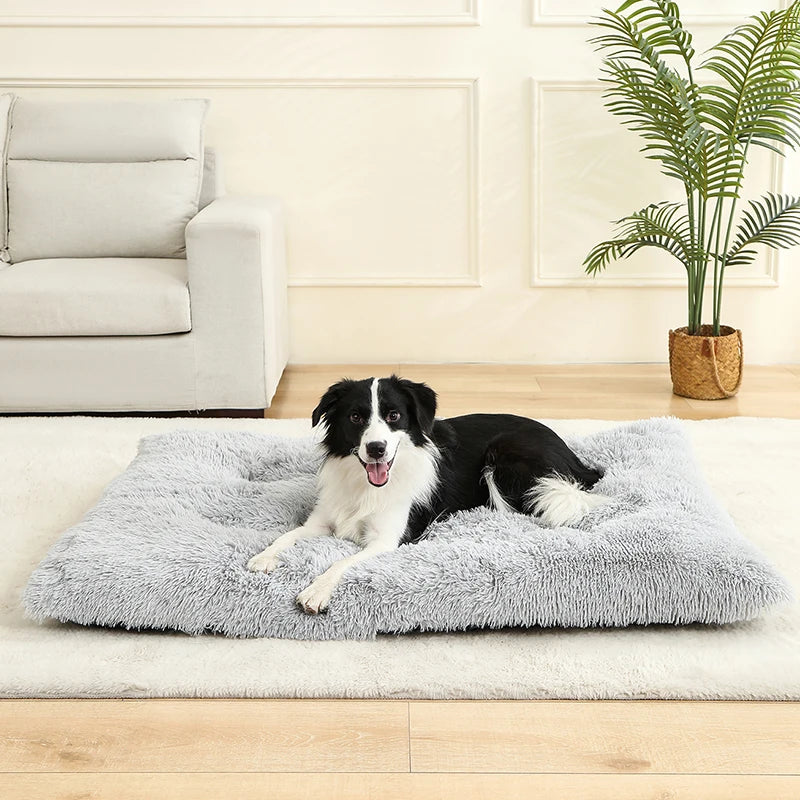 Panier Douillet en Peluche Ultra Moelleuse - LePetitChat