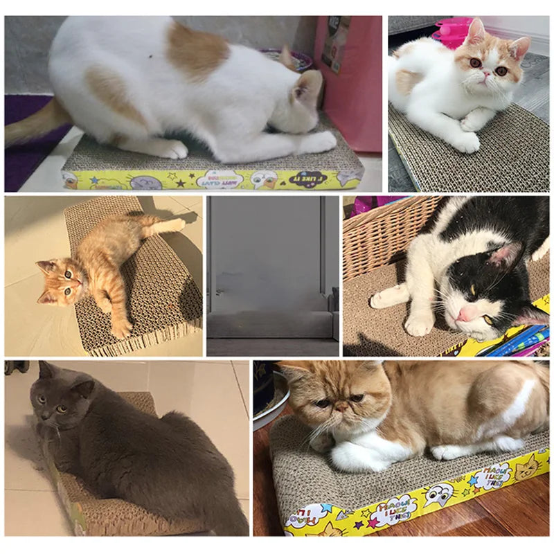 Griffoir en Carton Ondulé pour Chats