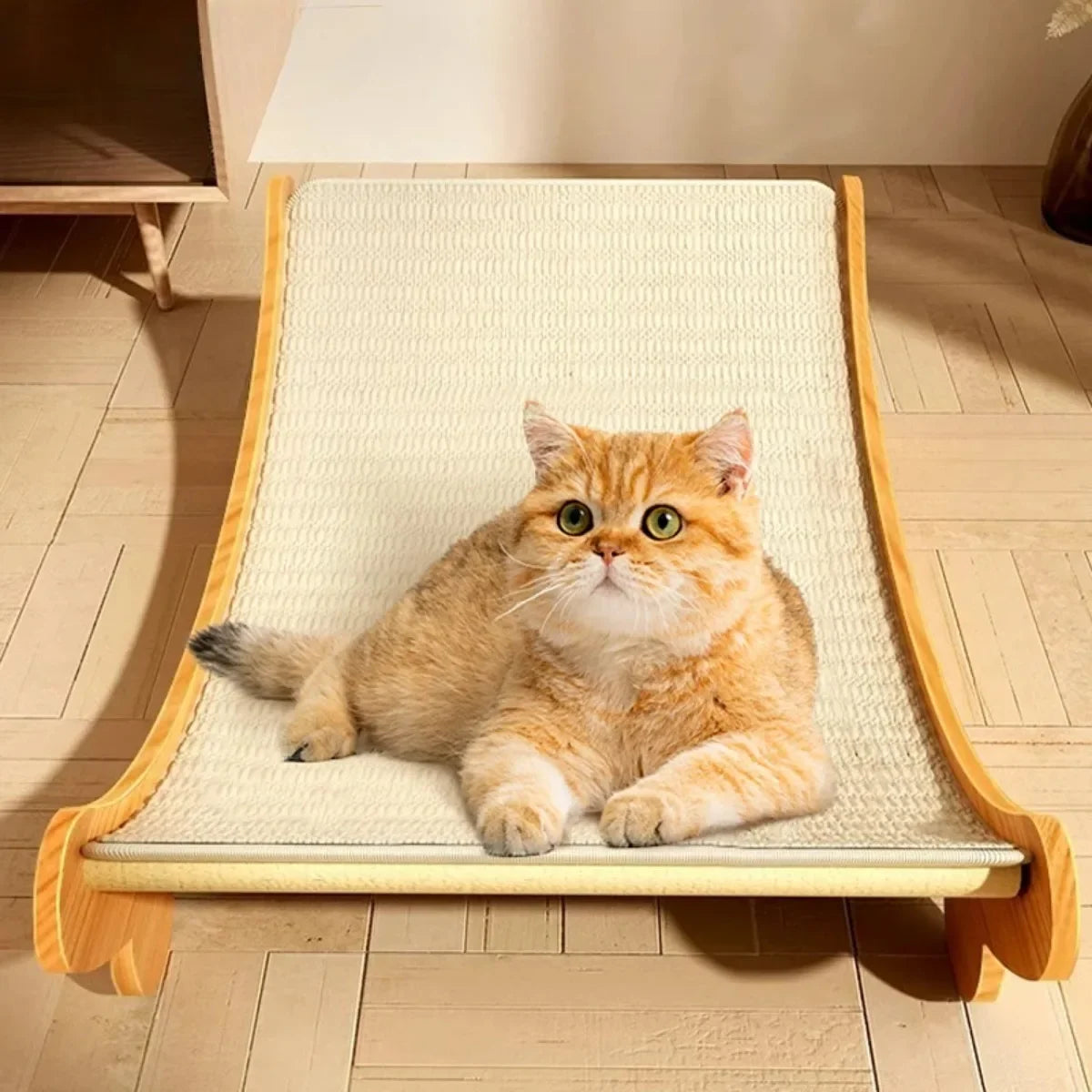 Nid Griffoir en Bois - Surface en Sisal - LePetitChat