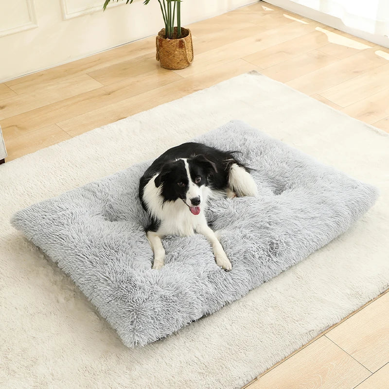 Panier Douillet en Peluche Ultra Moelleuse - LePetitChat