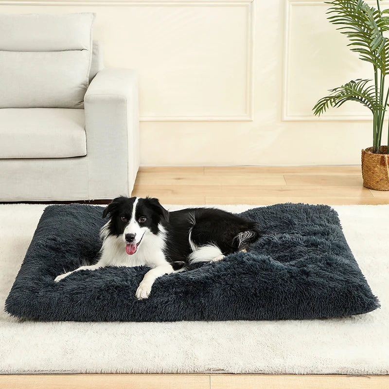 Panier Douillet en Peluche Ultra Moelleuse - LePetitChat