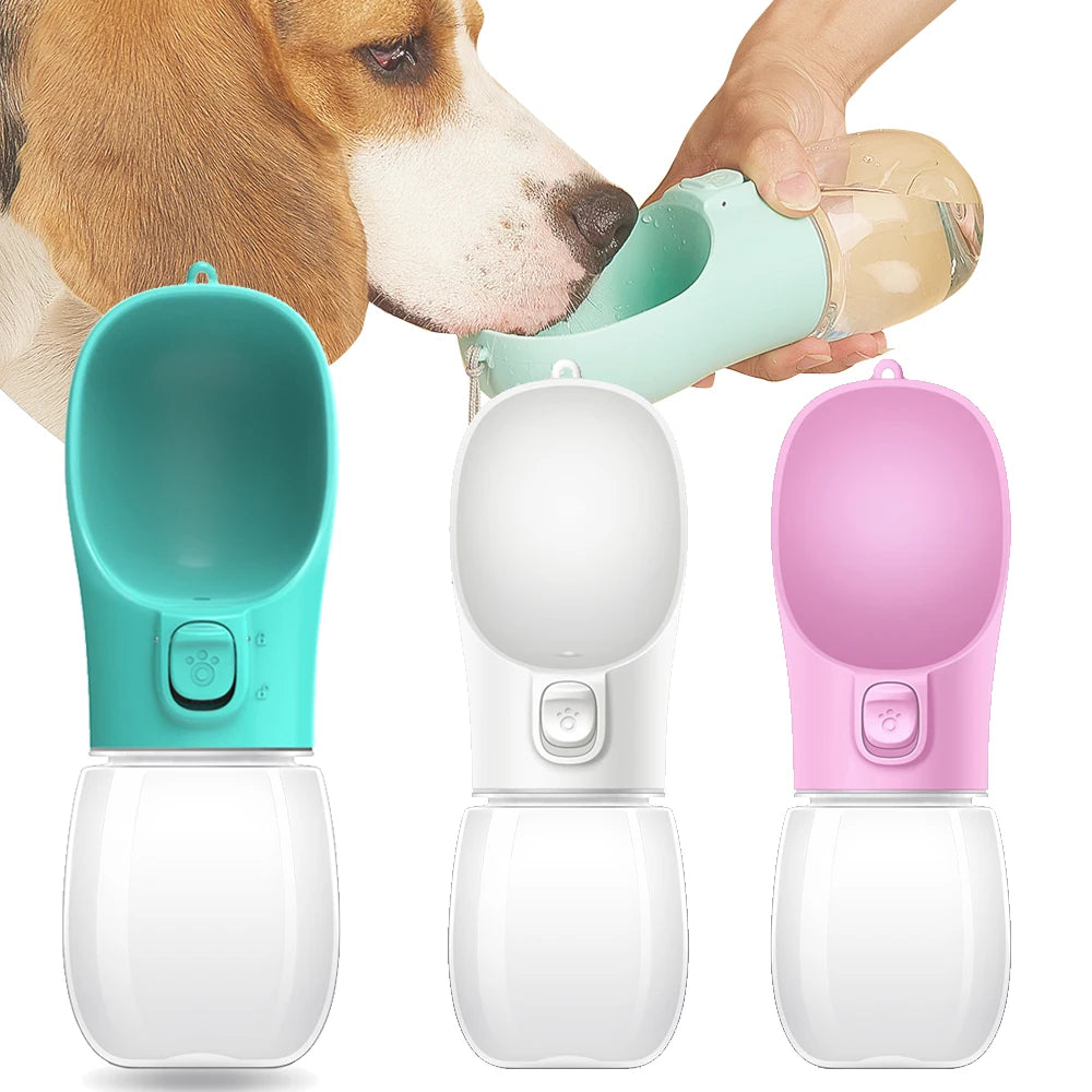 Gourde Portable Anti-Fuite