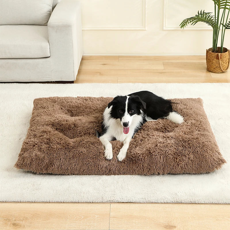 Panier Douillet en Peluche Ultra Moelleuse - LePetitChat