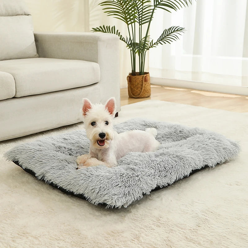 Panier Douillet en Peluche Ultra Moelleuse - LePetitChat