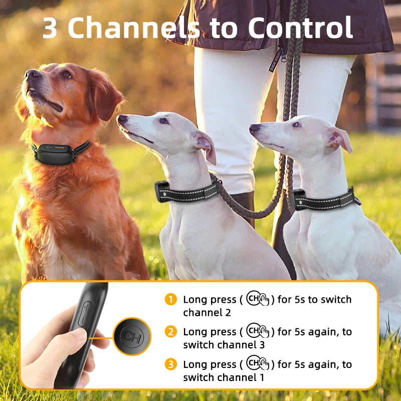 Collier de Dressage Électrique ROJECO – 1000M, Étanche IPX7, Rechargeable - LePetitChat