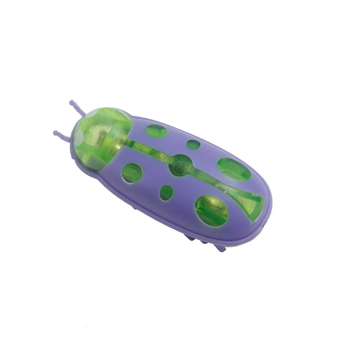Mini Coccinelle Électrique - LePetitChat