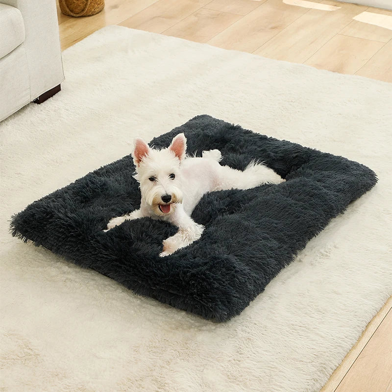Panier Douillet en Peluche Ultra Moelleuse - LePetitChat
