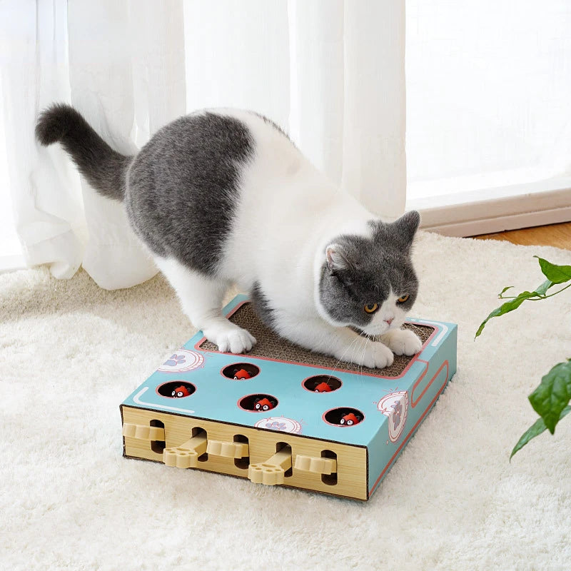 Tapis Taupe-Taupe – Griffoir & Jeu - LePetitChat