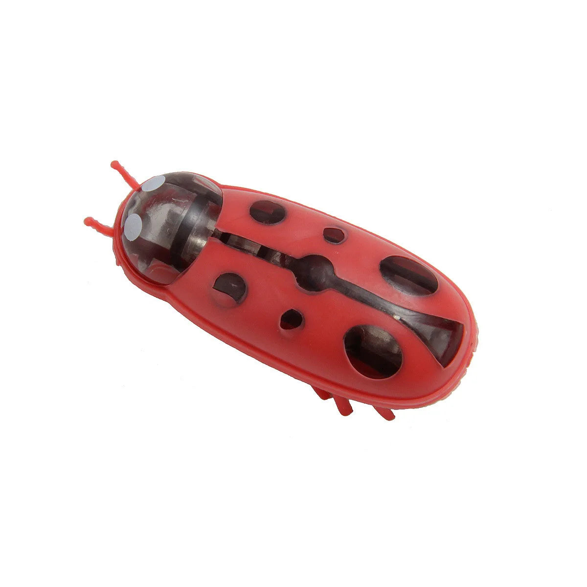 Mini Coccinelle Électrique - LePetitChat