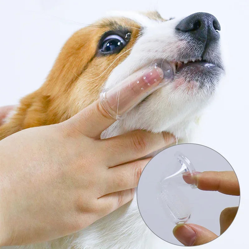 Brosse à dents pour animaux – Embout doigt en silicone - LePetitChat
