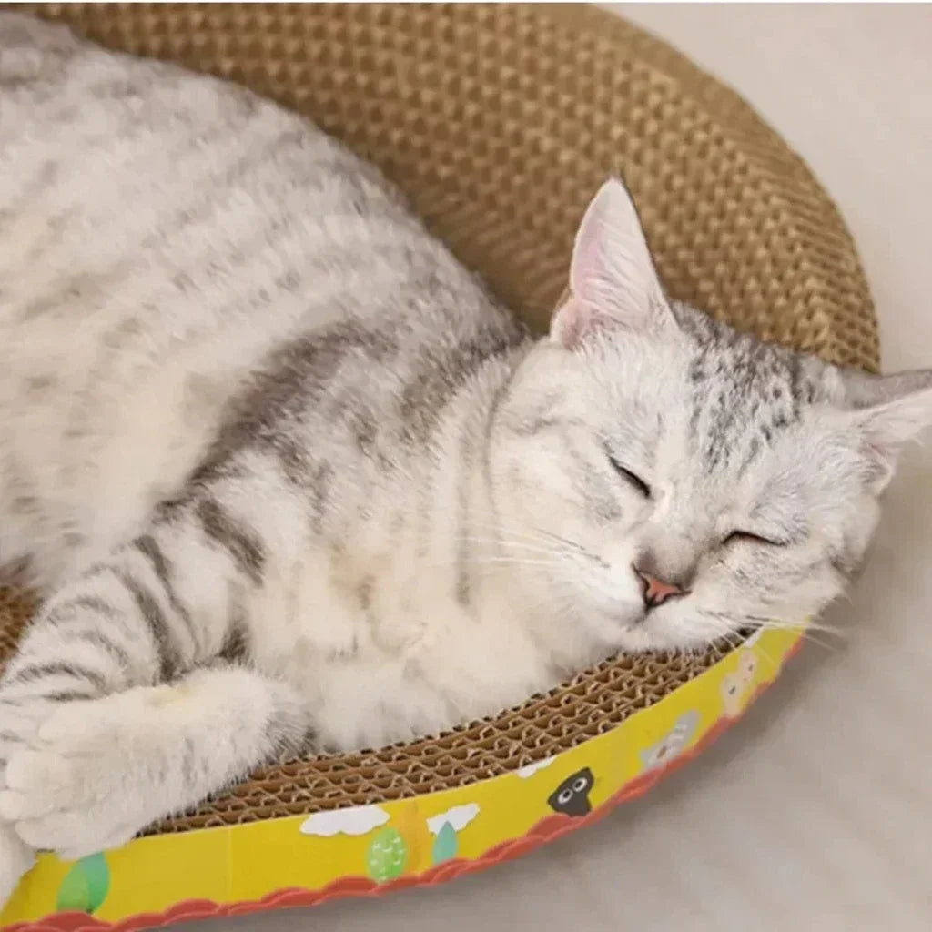 Panier Griffoir Ovale avec Herbe à Chat - LePetitChat