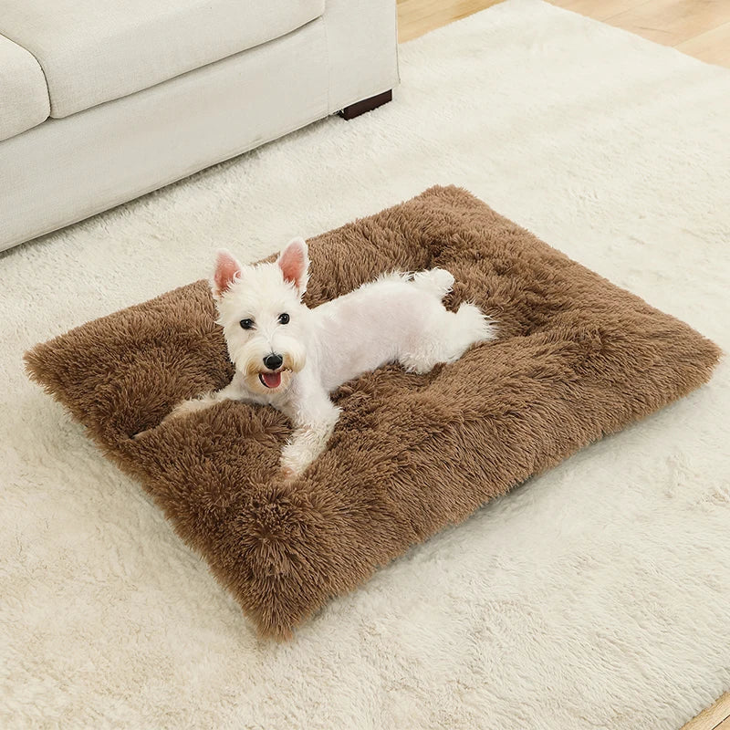 Panier Douillet en Peluche Ultra Moelleuse - LePetitChat