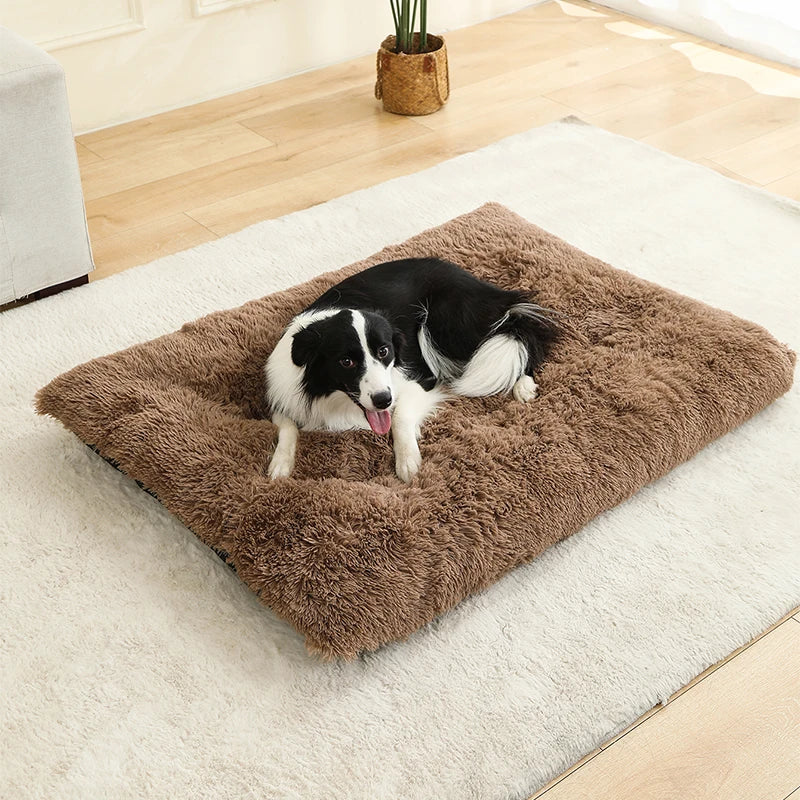 Panier Douillet en Peluche Ultra Moelleuse - LePetitChat