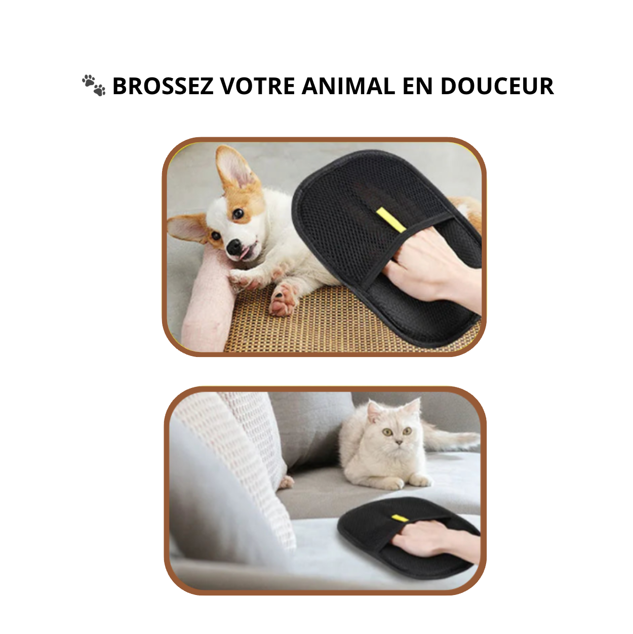 Gant Anti-Poils Statique