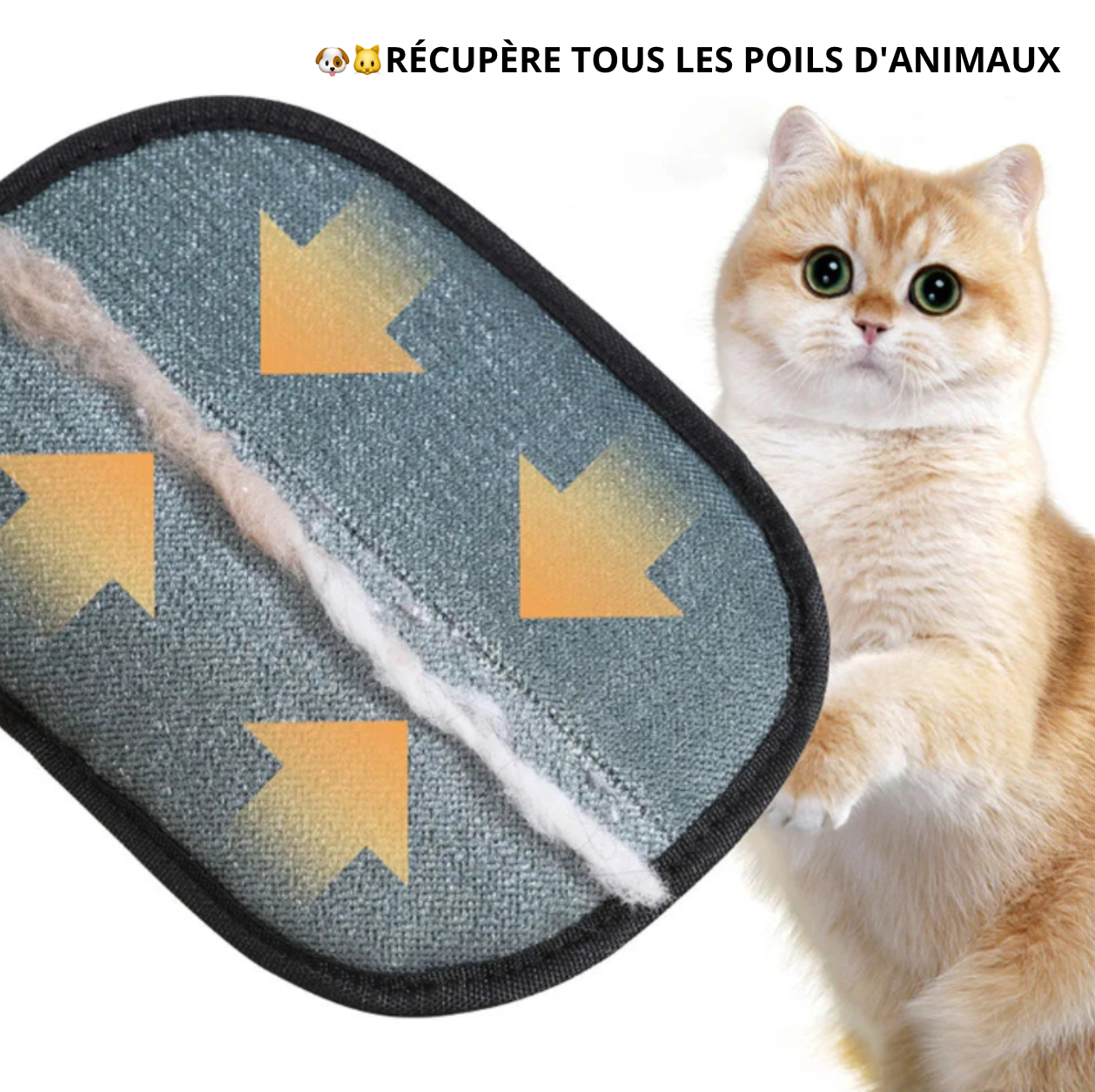 Gant Anti-Poils Statique