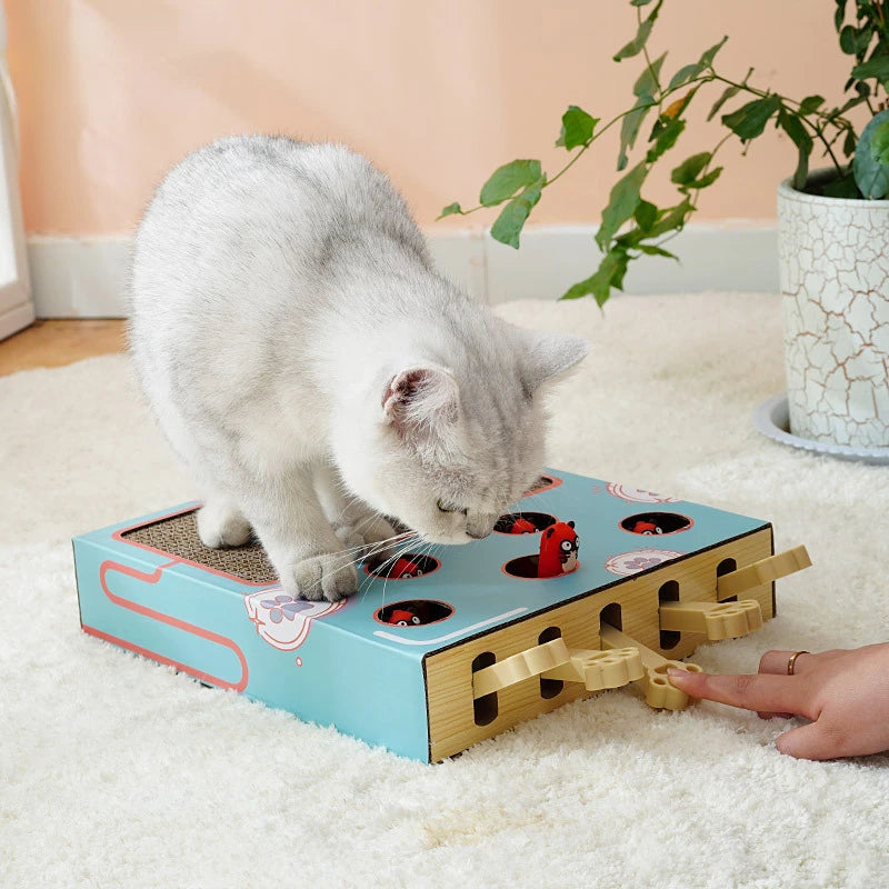 Tapis Taupe-Taupe – Griffoir & Jeu - LePetitChat