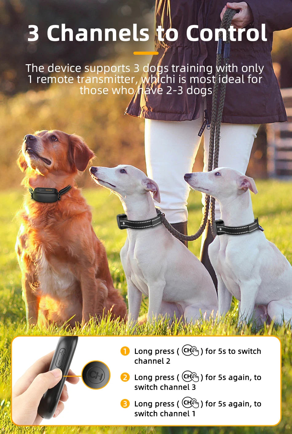 Collier de Dressage Électrique ROJECO – 1000M, Étanche IPX7, Rechargeable - LePetitChat