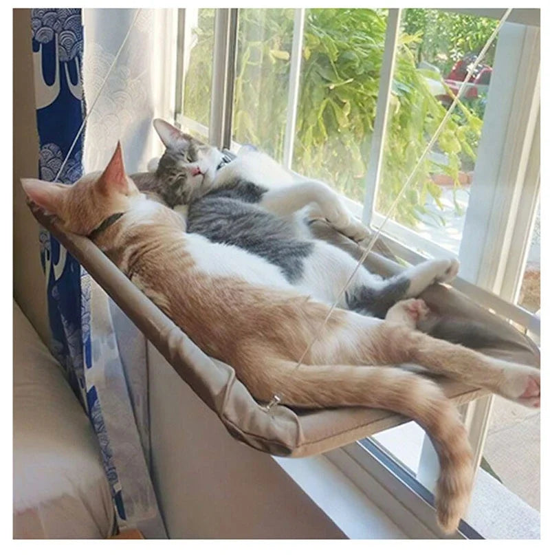 Hamac Suspendu pour Chat – Un Coin de Repos Confortable avec Vue - LePetitChat
