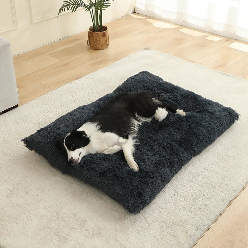 Panier Douillet en Peluche Ultra Moelleuse - LePetitChat