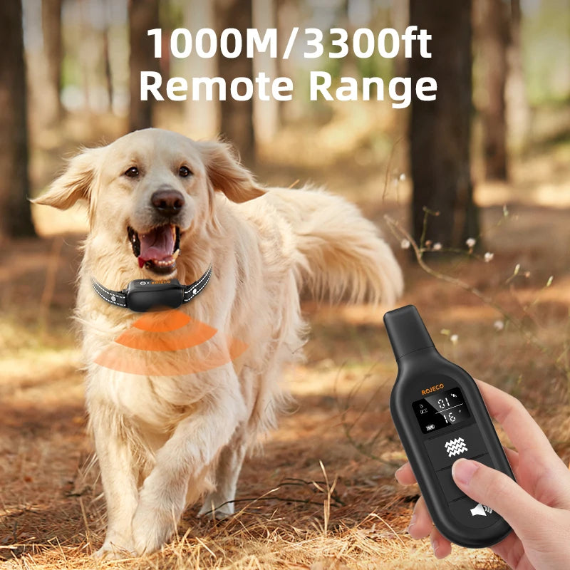 Collier de Dressage Électrique ROJECO – 1000M, Étanche IPX7, Rechargeable - LePetitChat