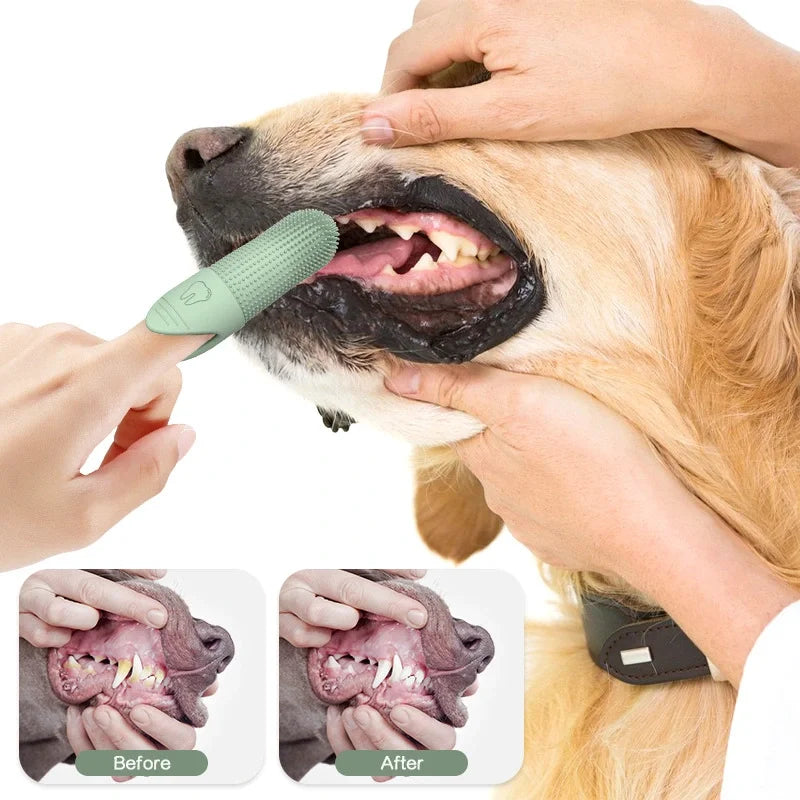 Brosse à dents doigt 360° - LePetitChat