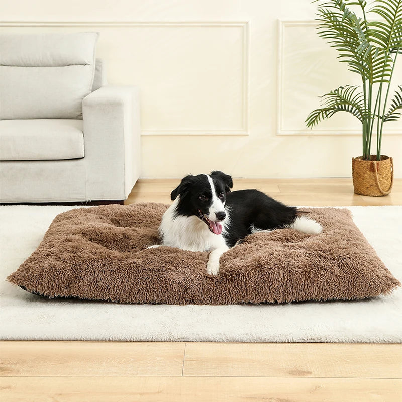 Panier Douillet en Peluche Ultra Moelleuse - LePetitChat