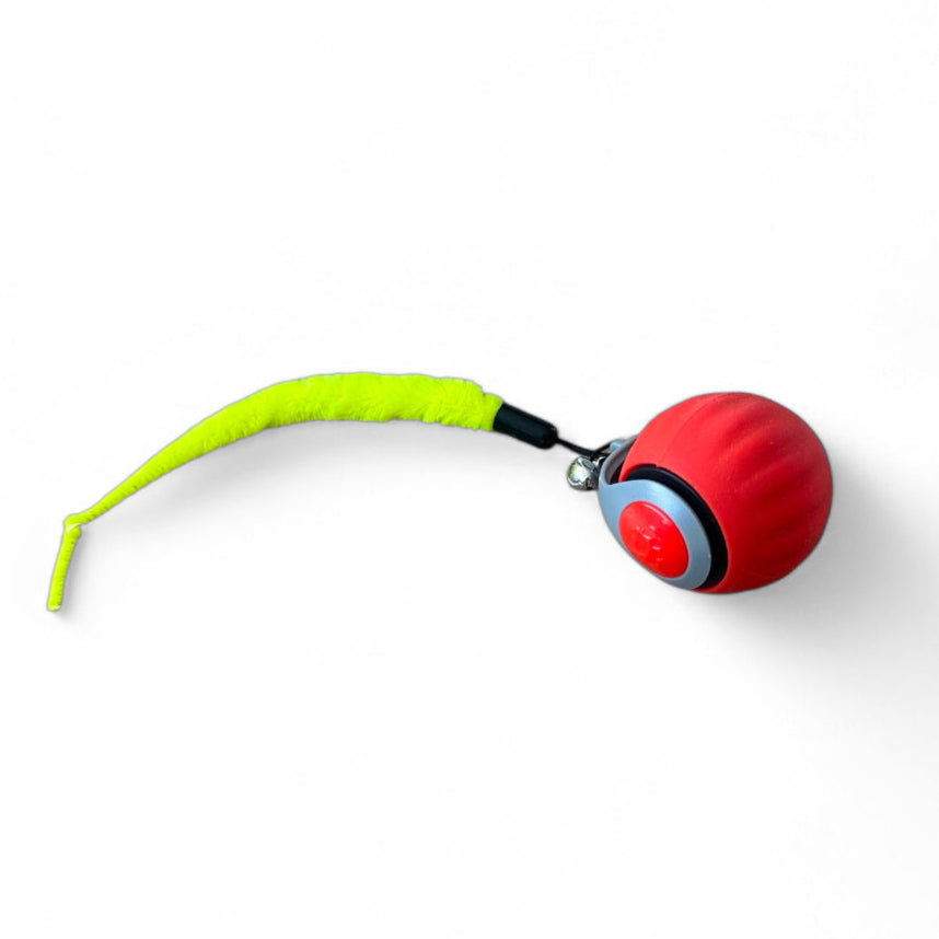Boule Éclair Premium - Rechargeable - LePetitChat