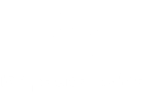lespetitspoilus.fr