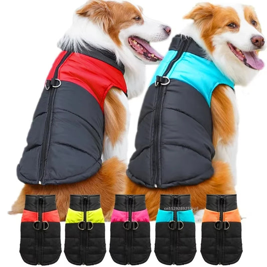 Manteau imperméable matelassé - LePetitChat