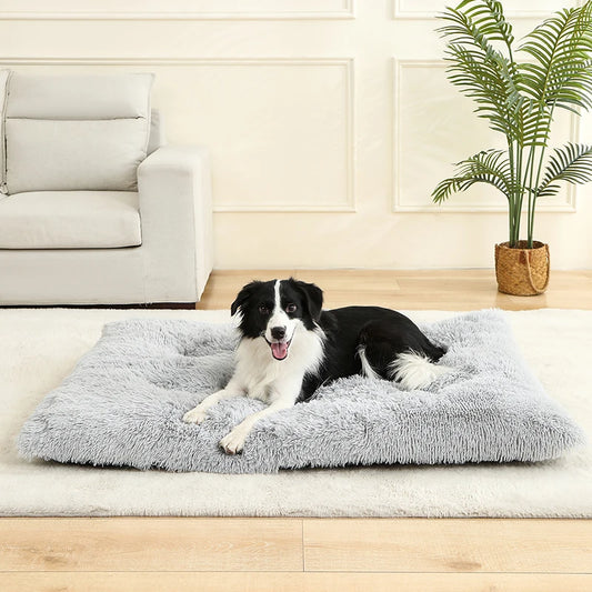 Panier Douillet en Peluche Ultra Moelleuse - LePetitChat