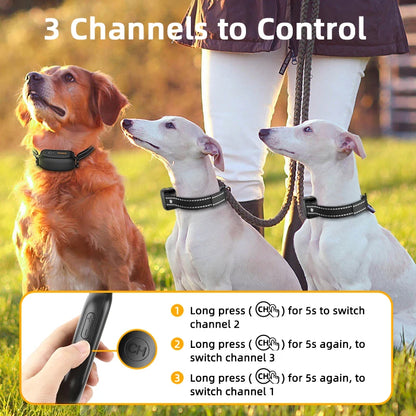 Collier de Dressage Électrique ROJECO – 1000M, Étanche IPX7, Rechargeable - LePetitChat
