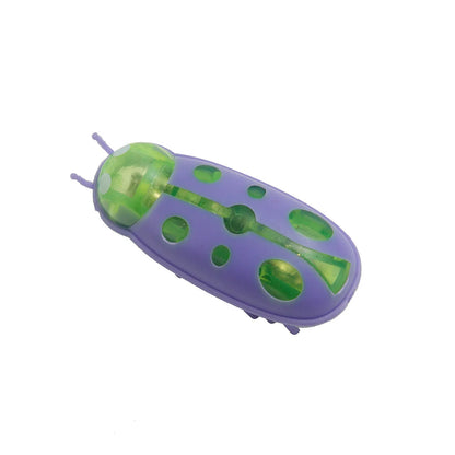Mini Coccinelle Électrique - LePetitChat