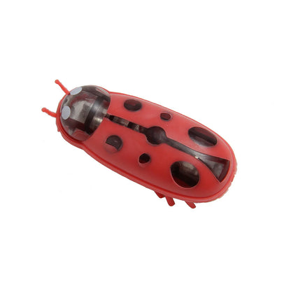 Mini Coccinelle Électrique - LePetitChat
