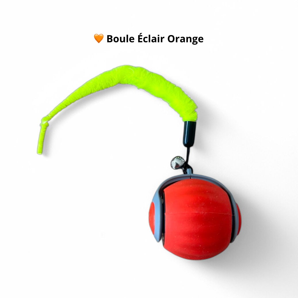 Boule Éclair Premium - Rechargeable - LePetitChat