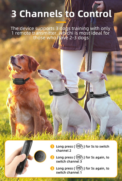 Collier de Dressage Électrique ROJECO – 1000M, Étanche IPX7, Rechargeable - LePetitChat