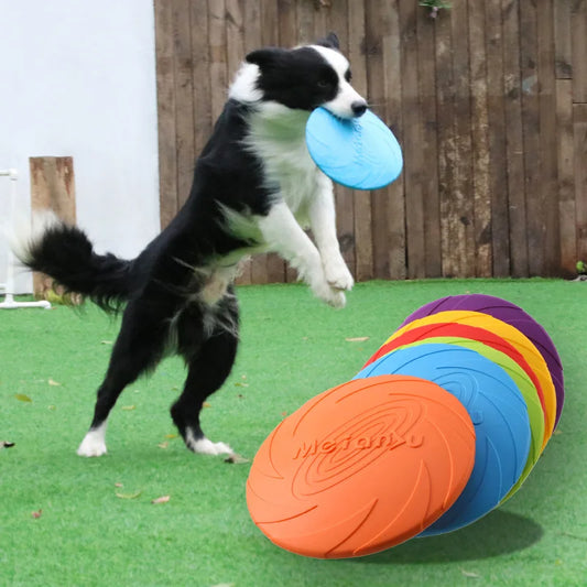 Frisbee Résistant à Mâchouiller